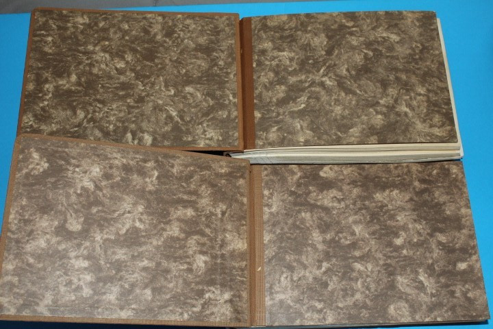 Germany Stamps Postal Cards 1933-1942 KaBe Springback Spec Album BlueLakeStamps