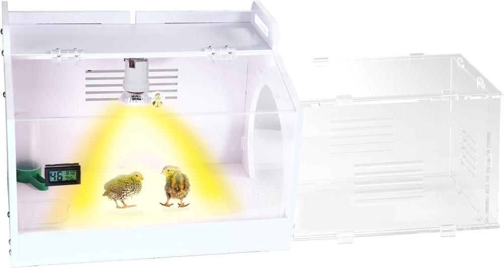 Iarge-Scale Chick Brooder Box Quail Cage Egg Incubator Chick Starter Kit Chicken