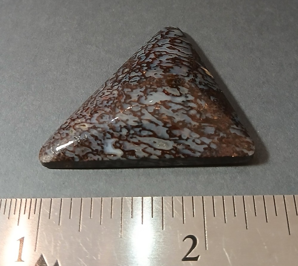 Dinosaur Bone Cabochon - Gorgeous BLUE Cells