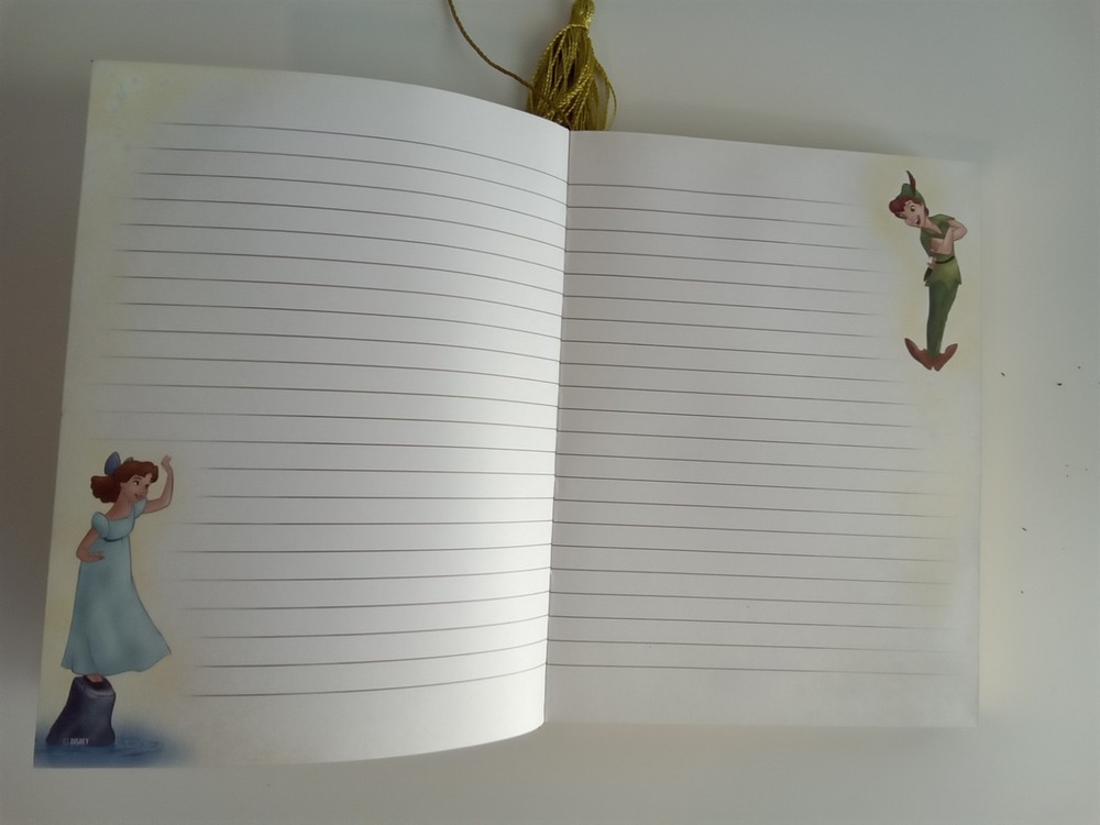 Hard Cover Tinkerbell Gold Edged Lined Journal Diary Notes