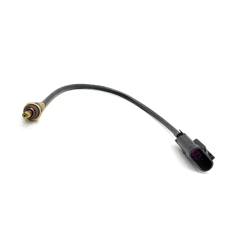 Polaris Oxygen Sensor- OEM 4016021