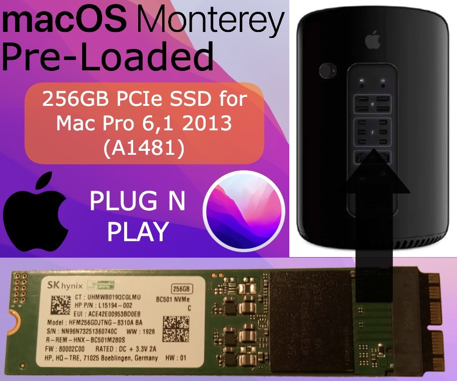 SSD Solid State Drive 256GB for Mac Pro A1481 2013 ME253LL/A MD878LL/A