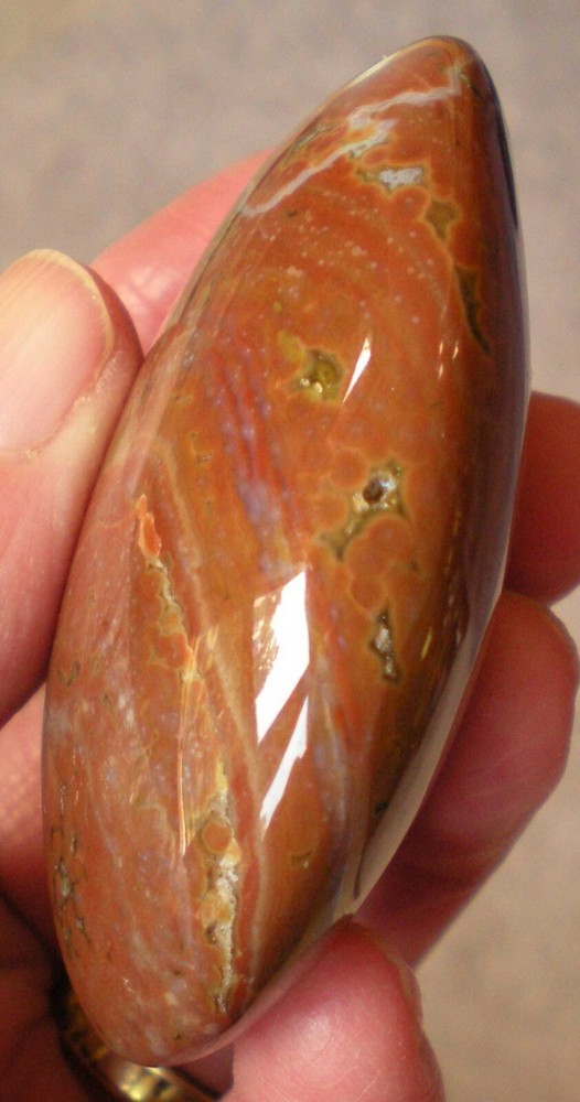 Ocean Jasper Palm Stone sc687u