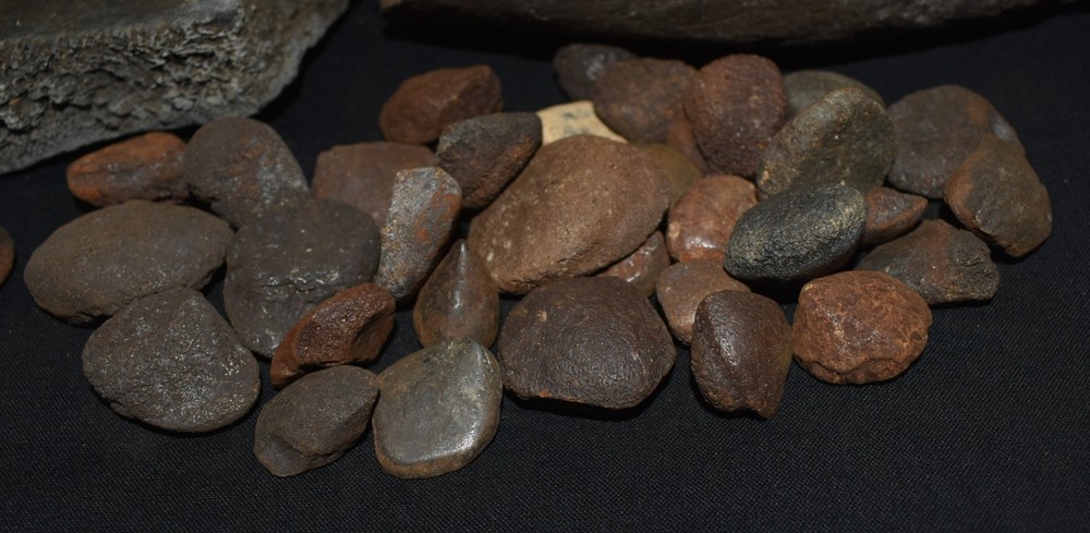 HUGE Fossil GIANT TORTOISE SHELL SECTIONS W/ 30 Osteoderms and 2 Fighting Spurs