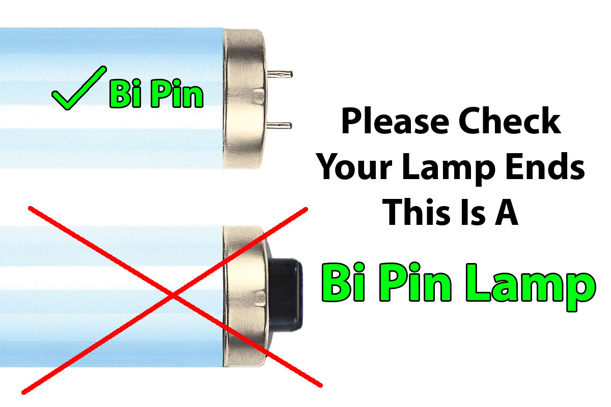 Wolff System GoldenBronze II F71T12 100W Bipin Tanning Bulbs - Original Wolff!