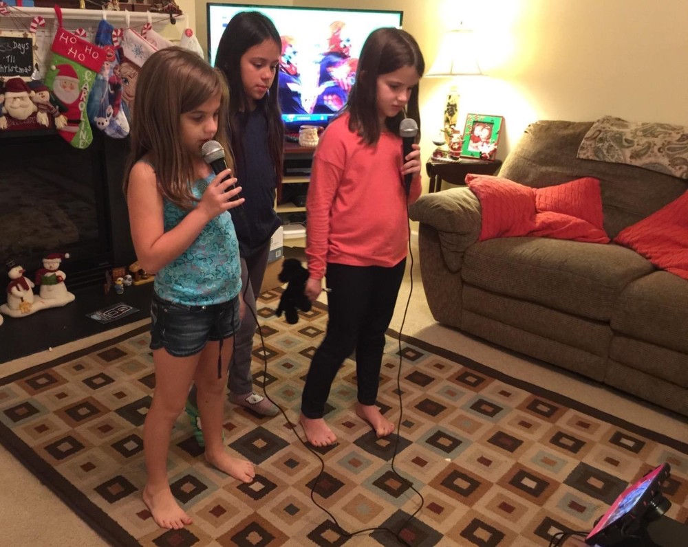 Unidirectional Dynamic Microphone for Karaoke & Public Speaking - 10ft Cord