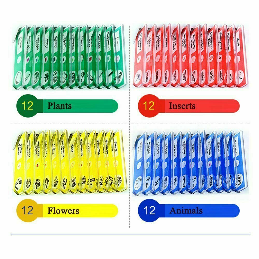 Plastic microscope slide biological specimen with microscope for childrenstudent