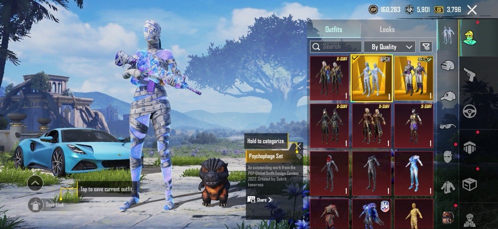 PUBG Mobile X-Suit, Glider, Vehicle, Weapon, Set, Level, Special Effect Bundle