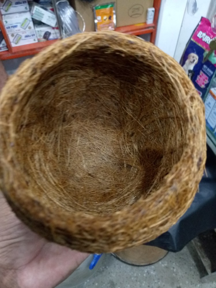 3 pcs Coconut Basket for Planters, Natural Coco Coir Basket Coco Replacement