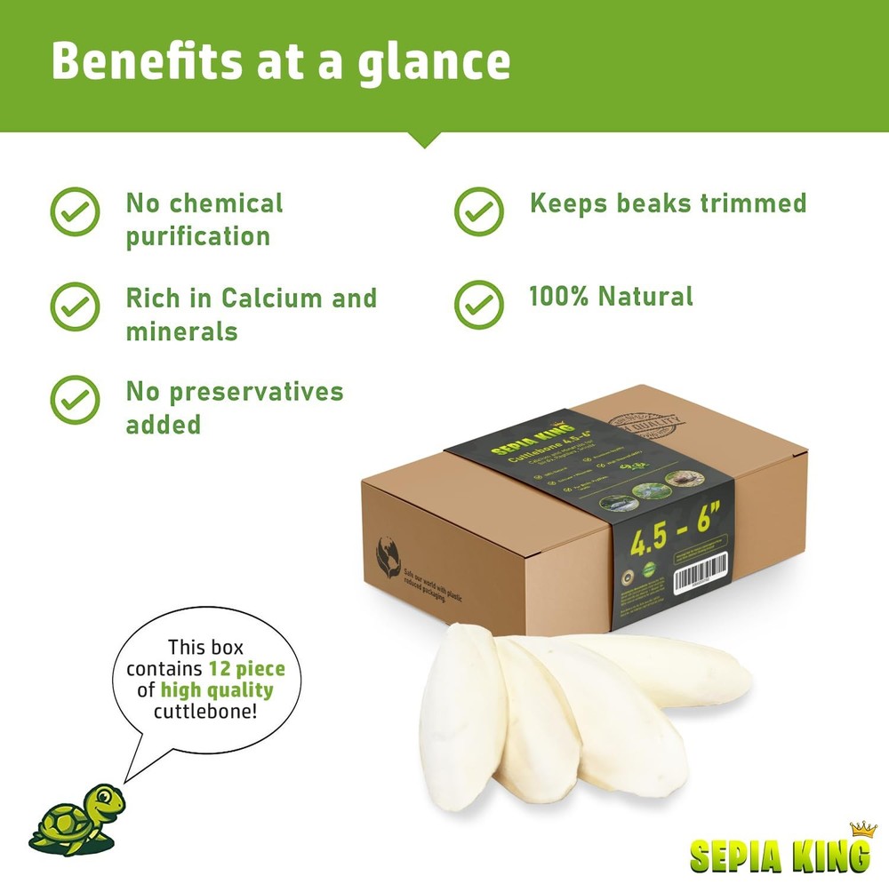 Calcium Supplement Medium 100% Natural Premium Cuttlebone for Birds 12 Pack
