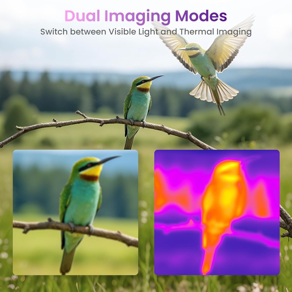 ANXTECH Pink Thermal Imaging Camera 80*60 IR Resolution Dual Camera