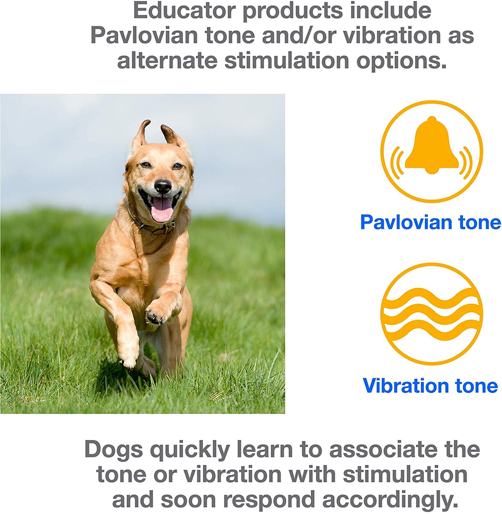 Mini Educator E-Collar Off Leash Dog Remote Training 1/2 Mile Range ET-300