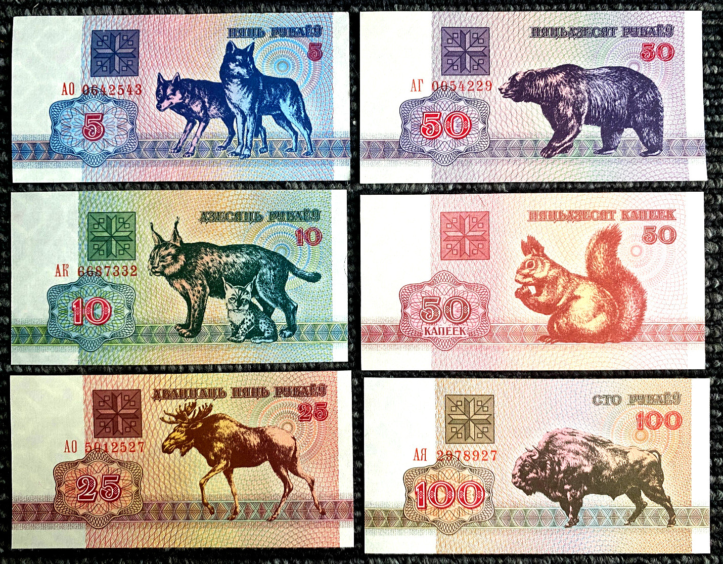 Lot of 6 Animal Kingdom Wildlife Belarus Banknote Set Foreign World Paper Money