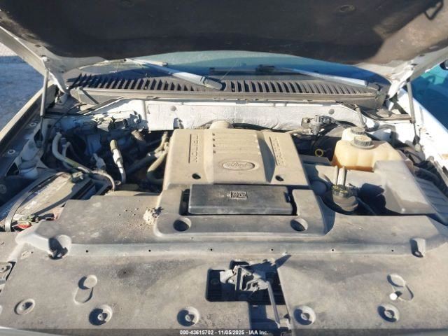 EXPEDITON 2007 Glove Box 4879537