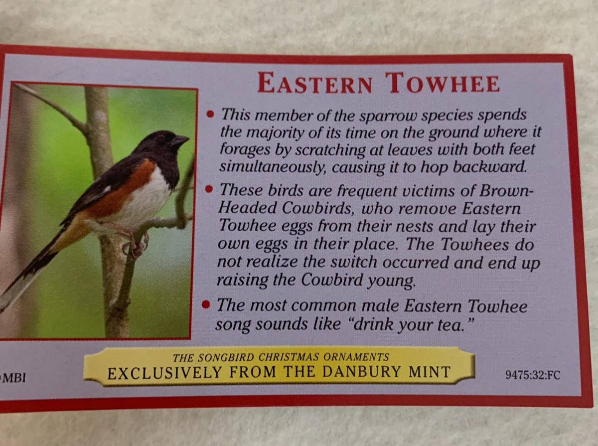 Danbury Mint~ Songbird Christmas Ornaments~Information Card~CHOICE