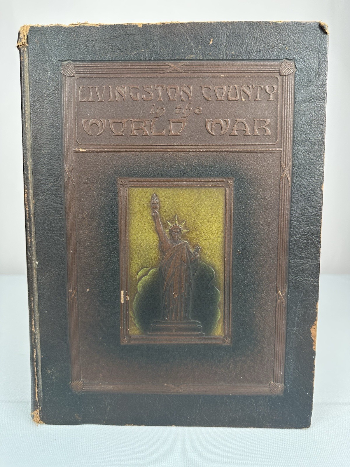 Livingston County Illinois Pontiac Fairbury Streator Cornell IL WWI History Book