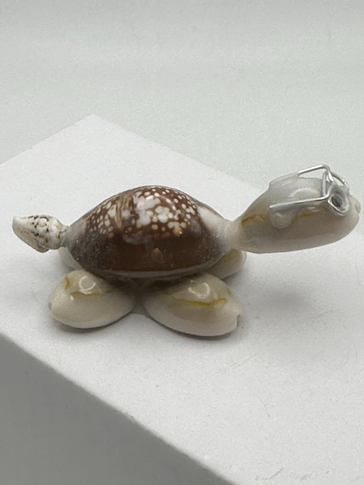 Anthropomorphic Seashell Turtle Figure Wire Glasses 2” X 7/8”