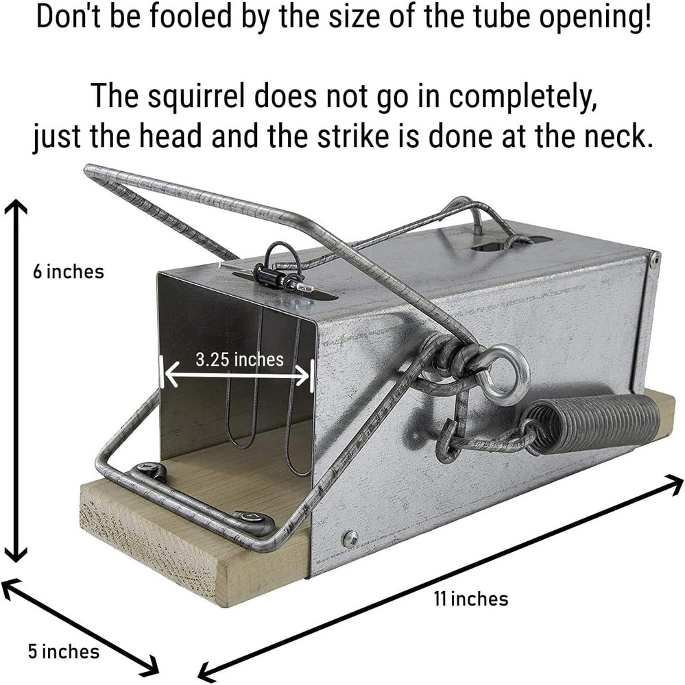 High-Quality Squirrel Trap - Efficient Extermination=