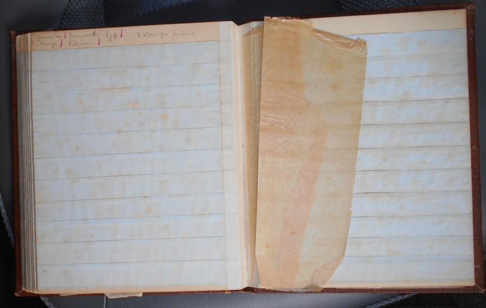 Brown stockbook; 12 /2 pages each with 11 pockets [total 264 pockets]