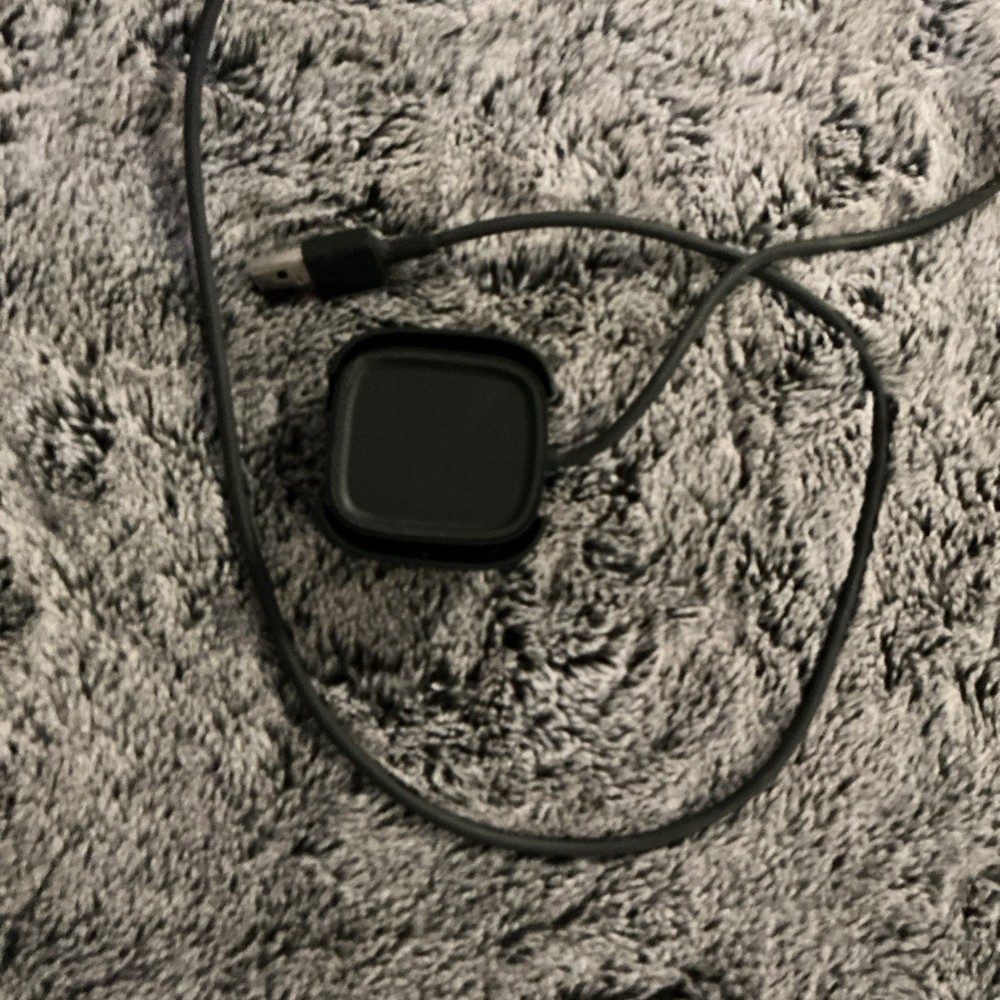 Fitbit Versa2 Charger Cable (FB171RCC)