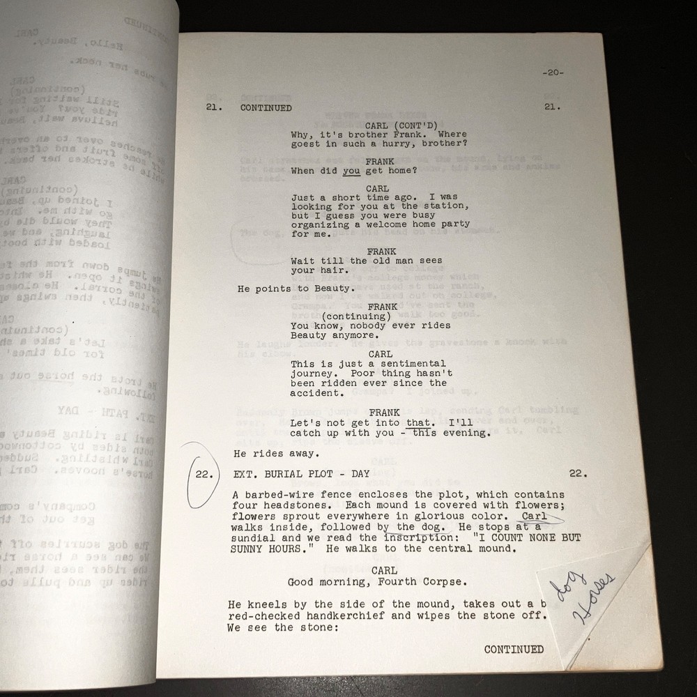"HAIL, HERO!" (1969) Michael Douglas Debut / Dog Trainer Script w/Notes + COA!
