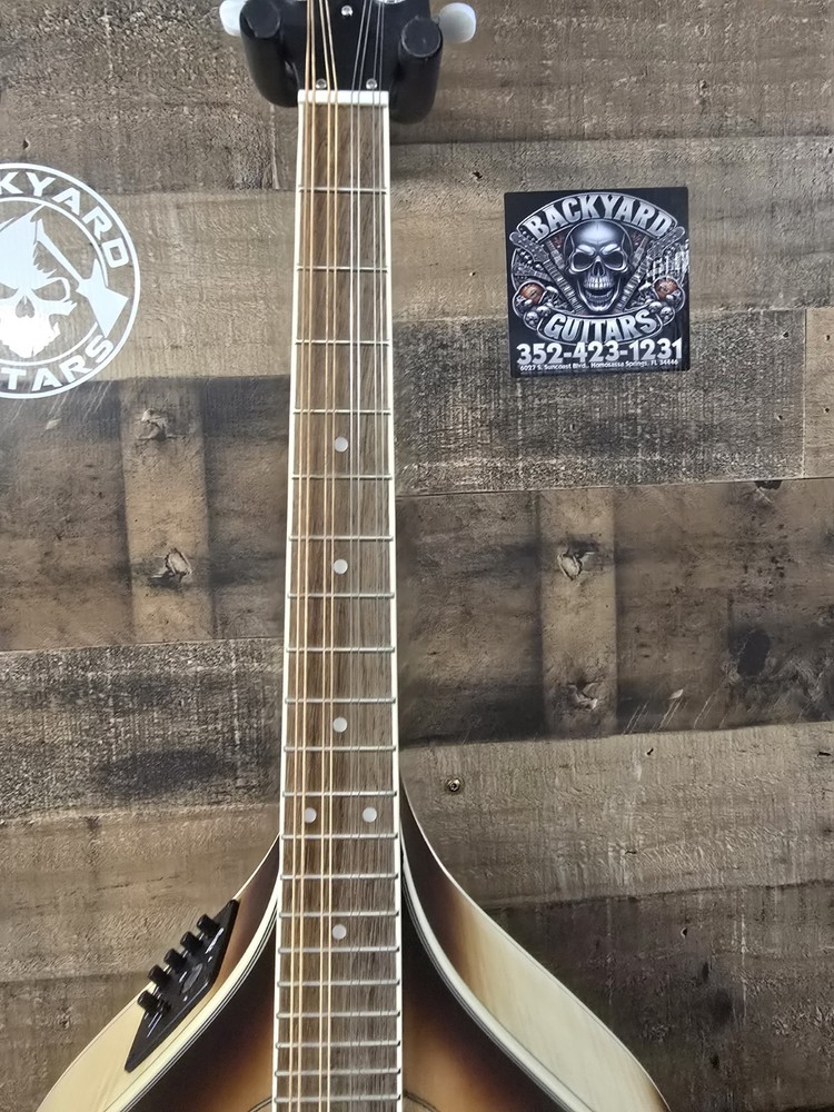 Mcneela ElectroMandolin Clean