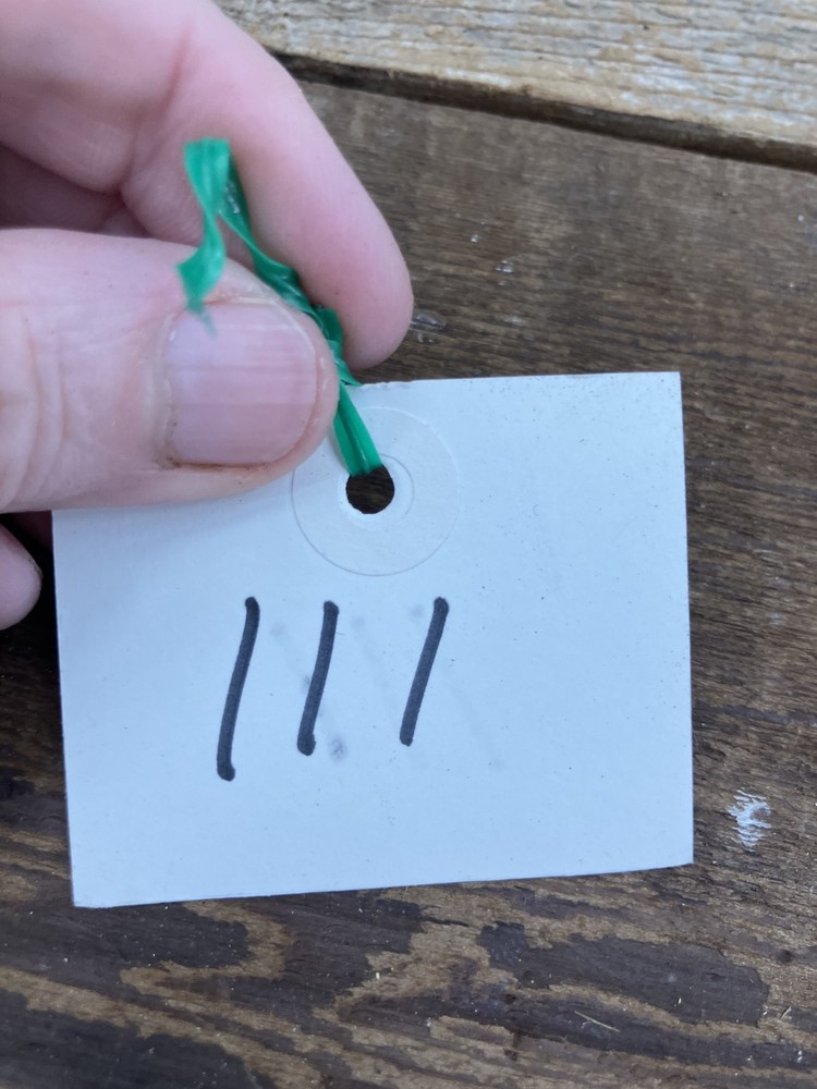 VTG Coleman Lantern Double Mantle Model 220F with Globe Dated 1/73- Untested