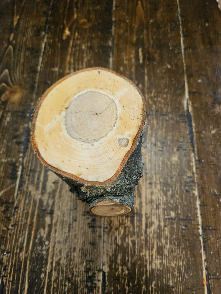 CHERRY Turning Crotch Log 7 1/2" Long c299