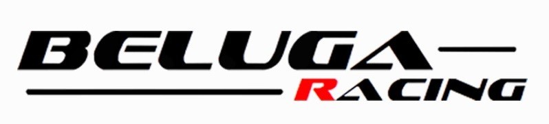 Beluga Racing True Dual Catback Exhaust for Nissan 370Z Z34 09-21 VQ37VHR 62mm