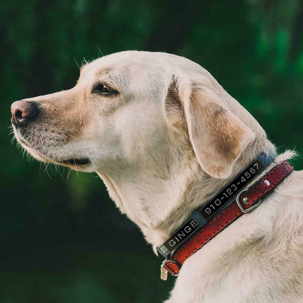 5PK Dymo 3D Embossing Label Tape 9mm for Dymo Organizer Xpress Label Maker 3/8"