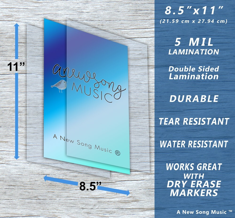 Laminated 5 String Bass Fretboard Wall Chart Poster Notes - 8.5" x 11"