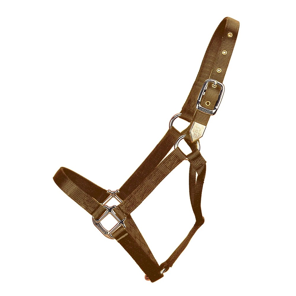 Large Horse Halter