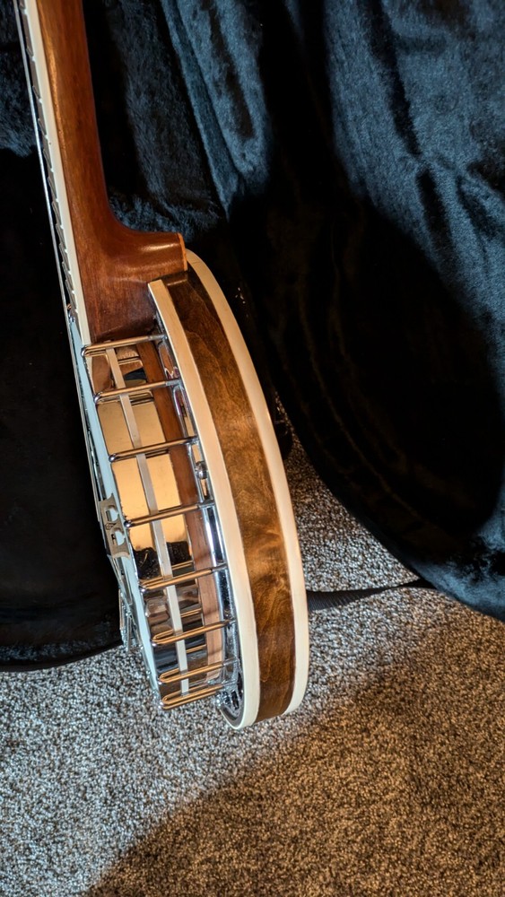 5 string bluegrass banjo