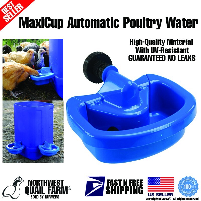 Maxicup Drinker Automatic Chicken Waterer Cup for Poultry