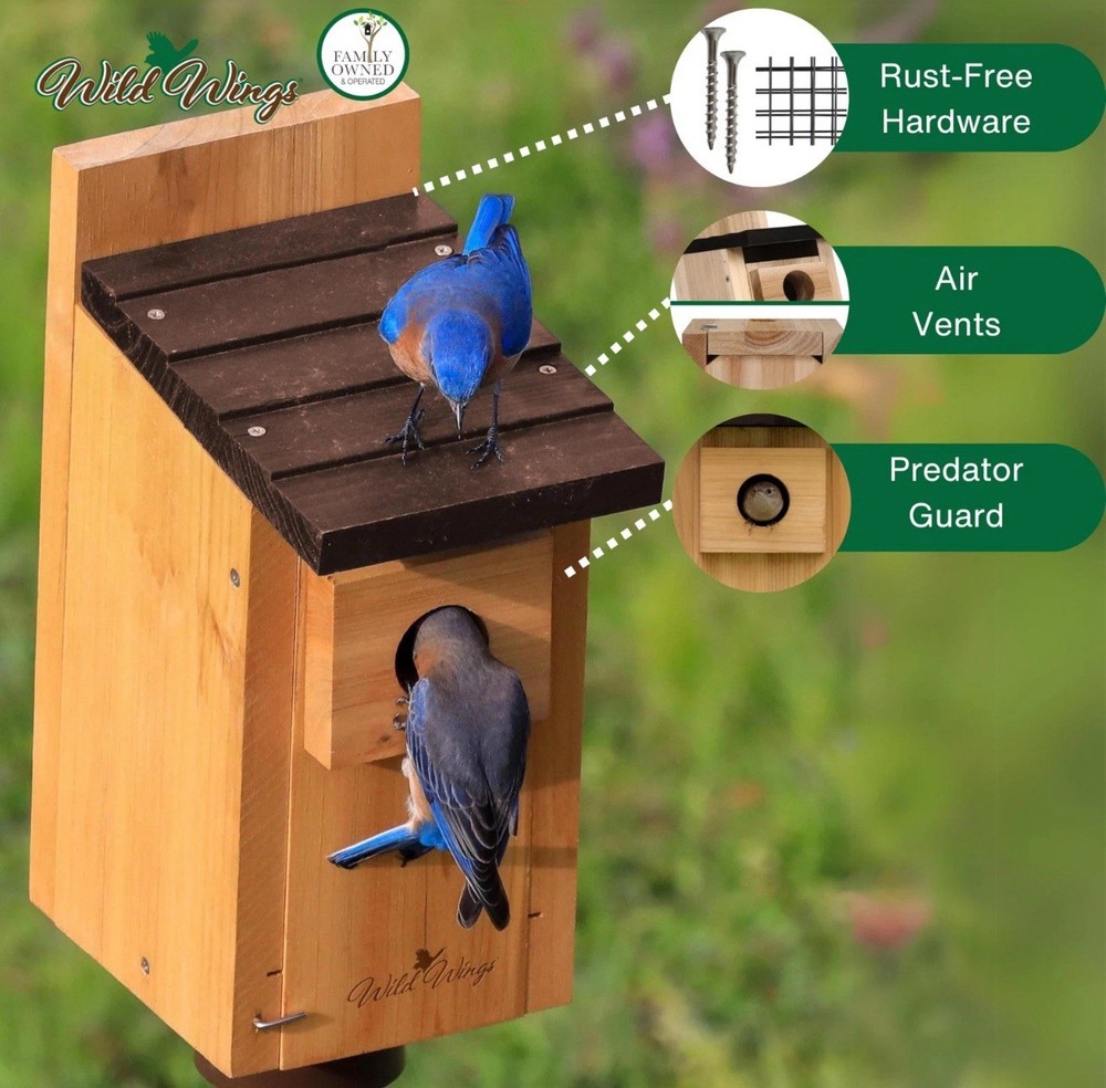 Cedar Blue Bird Box House for Backyard Nesting - Durable & Weatherproof