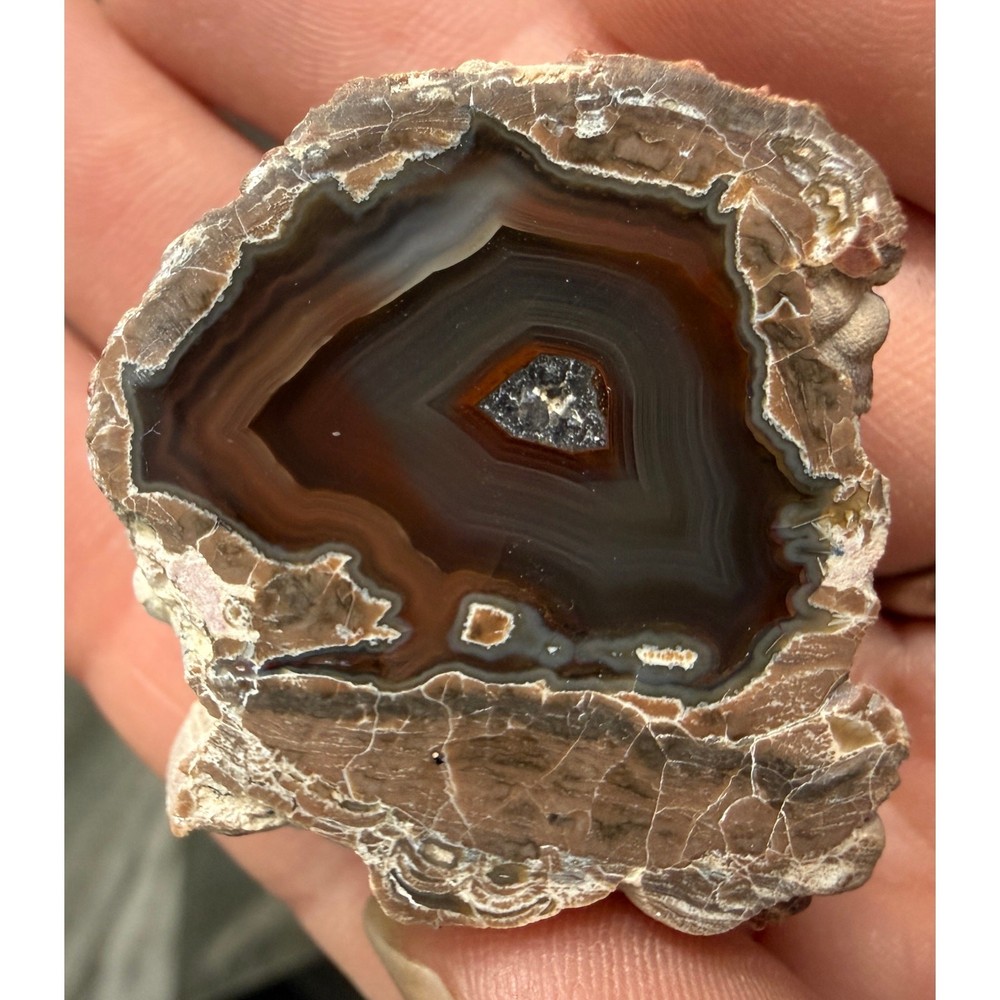 Baker Ranch Thunder Egg Agate Geode Kid Pair Polished New Mexico Fluorescent