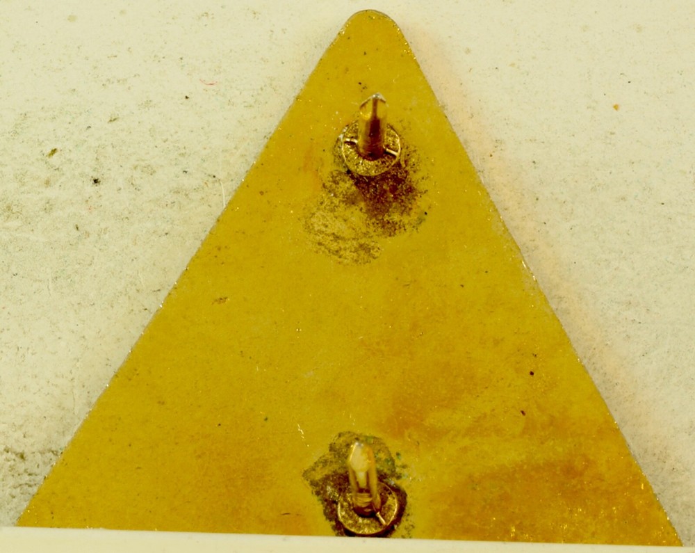 41st Recon Squadron Crest DI/DUI CB