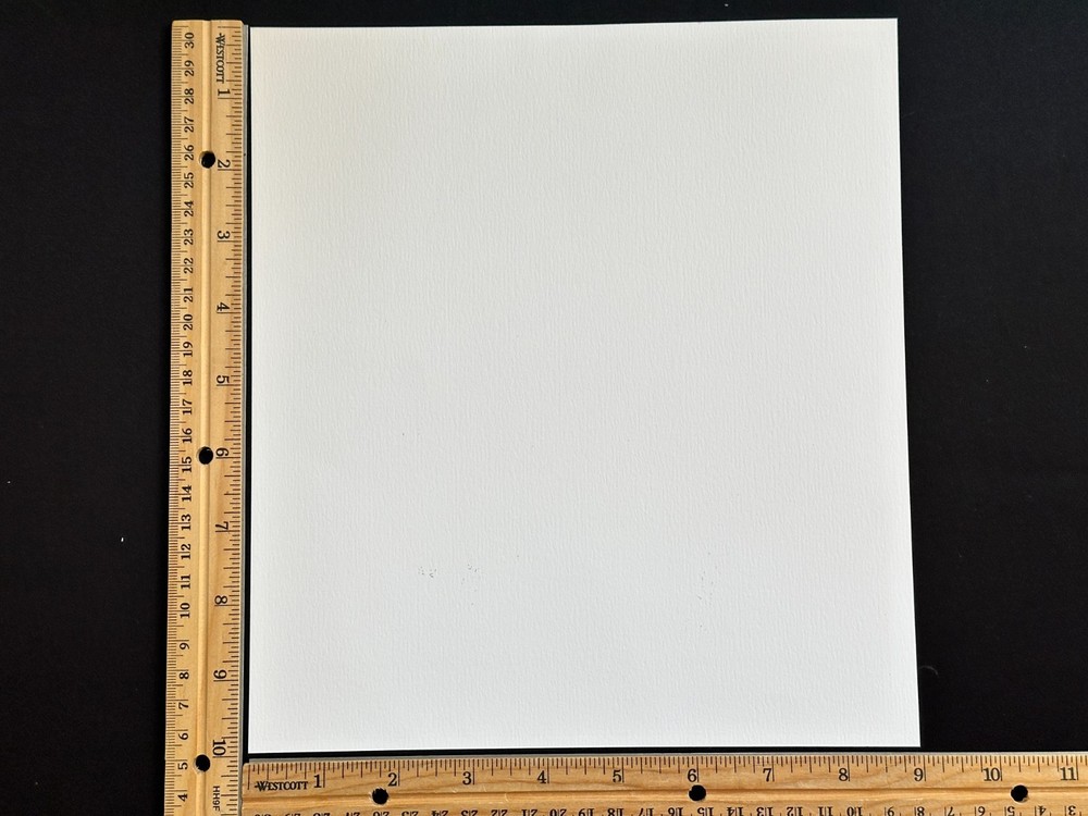 10 Pcs Sheet Plastic Protectors 10" x 9" for Centenary Commemorative Stamp Panel