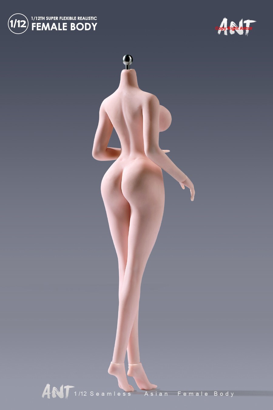 US ANT 1:12 Pale Large Breast Plump Hip Seamless Female Action Figure Body Doll