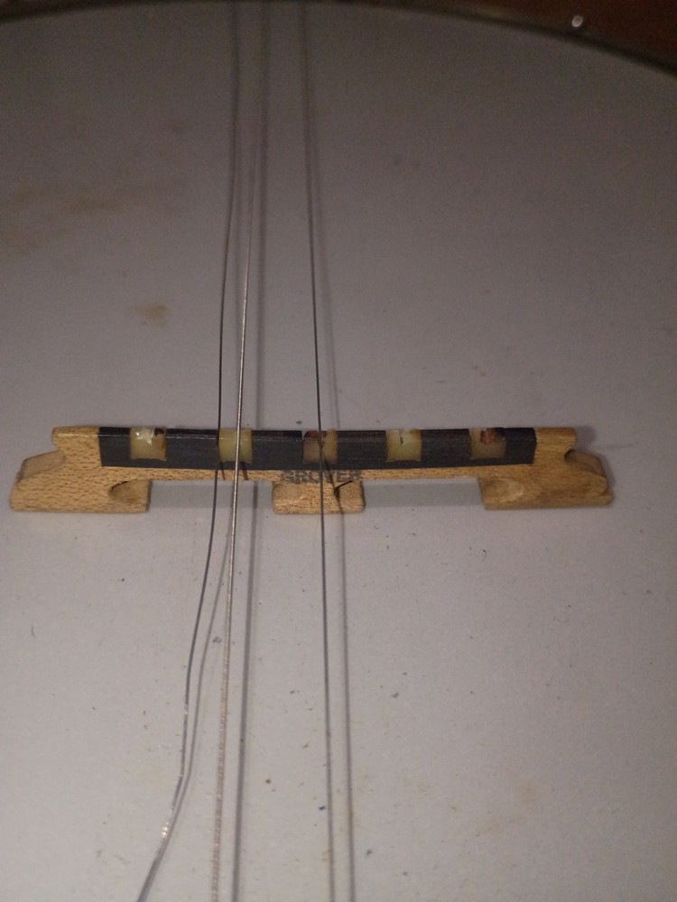 Banjo Needs Strings