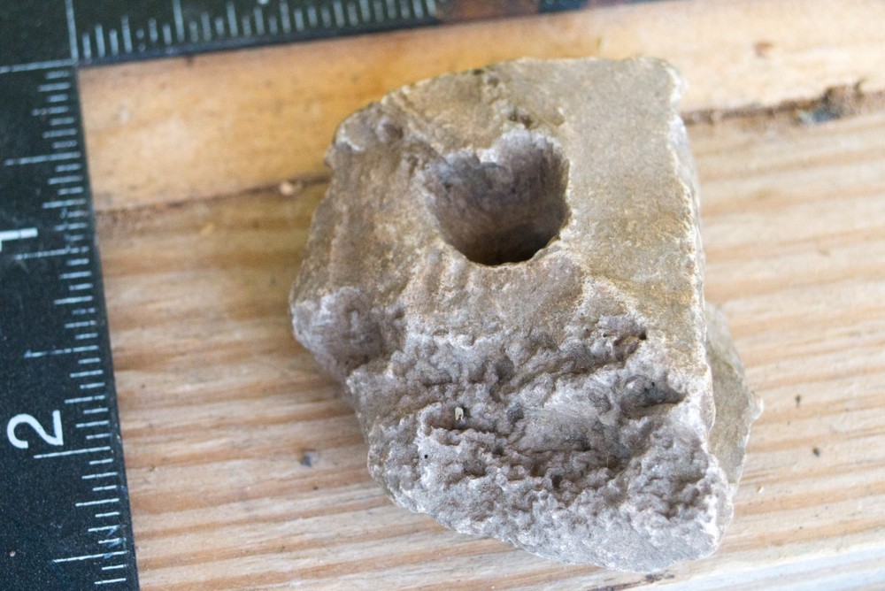 NE Oklahoma Fossil
