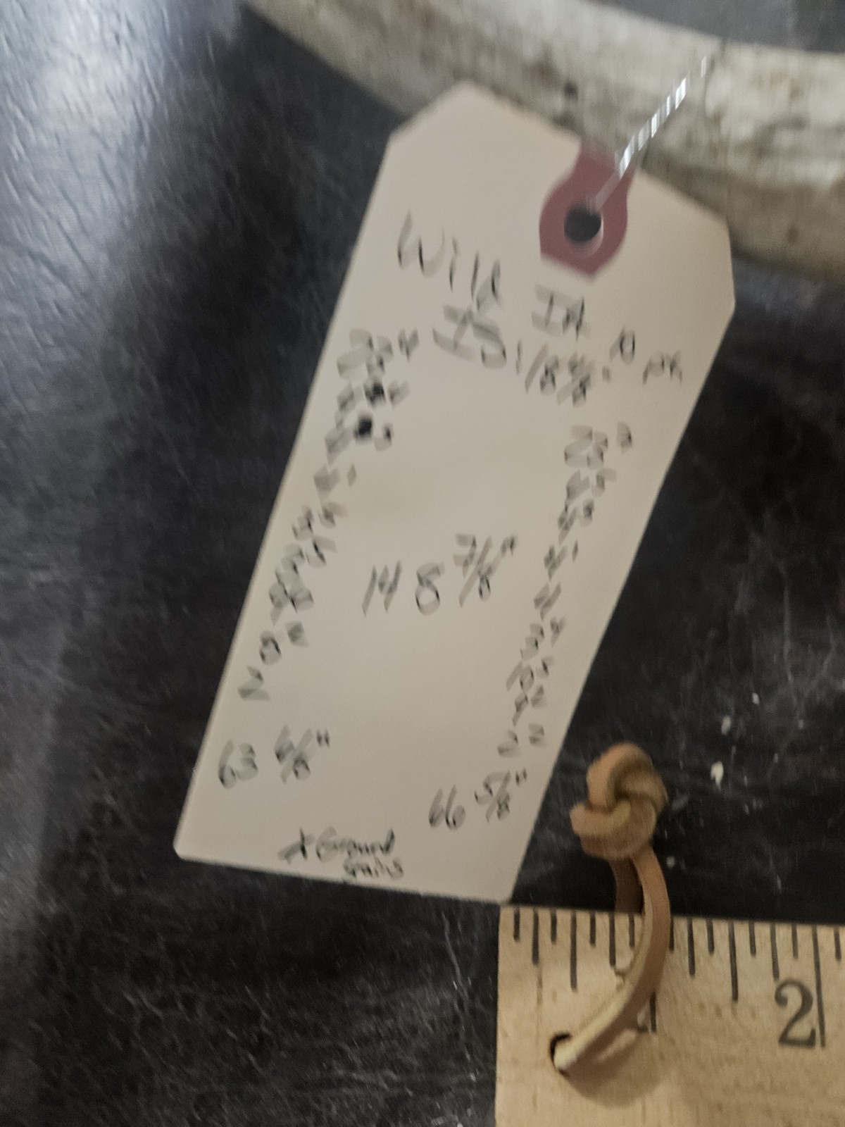 Wild 10 Point Whitetail Deer Antler Rack Horn European Skull Mount Man Cave 148"