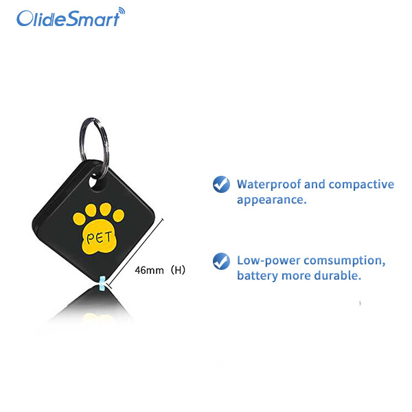 Smart RFID Controller and Tags, Pet Collar Sensor Tag