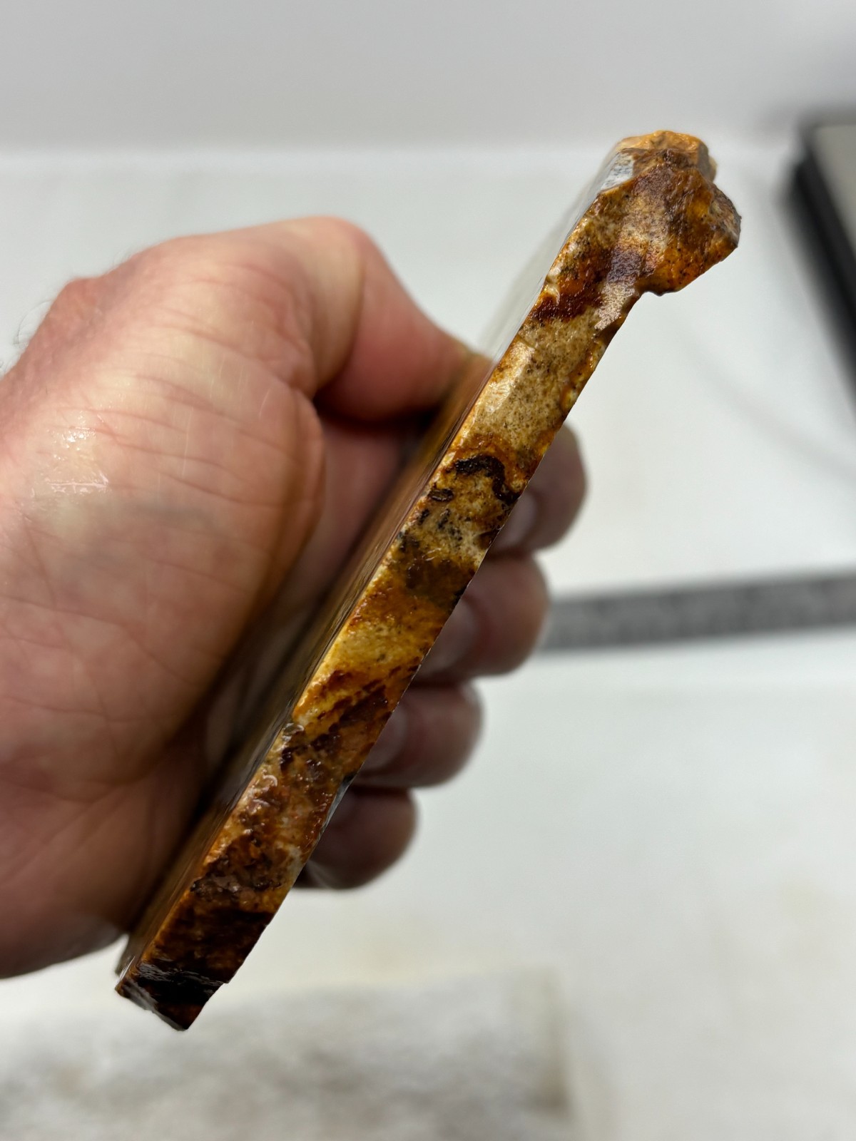 Disaster Peak Picture Jasper Slab Cabbing Lapidary Collecting Combo Ship Avail