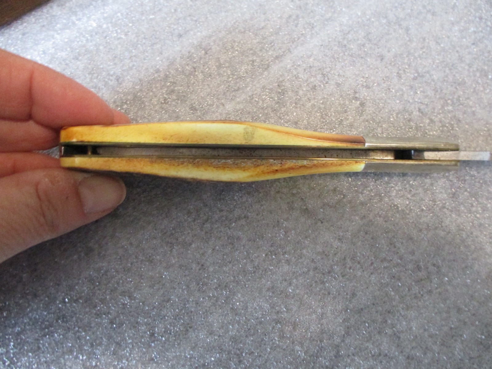 VINTAGE CASE XX 5143 SSP LTD PRODUCTION FOUNDERS STAG KNIFE in DISPLAY CASE