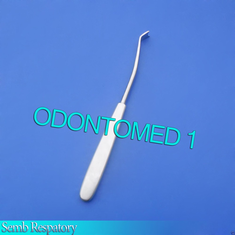 Semb Raspatory 7.5" Blade 12mm wide