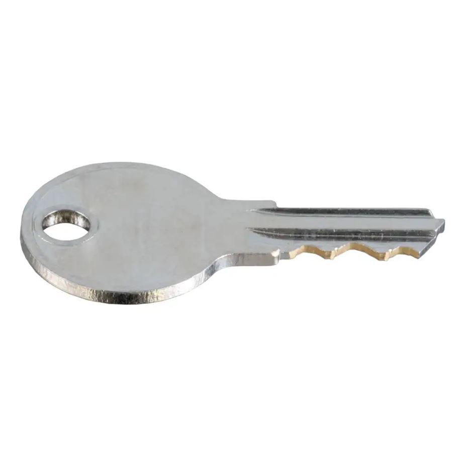 TrailFX KEYCH507 - Replacement Key (Key Code: 507)