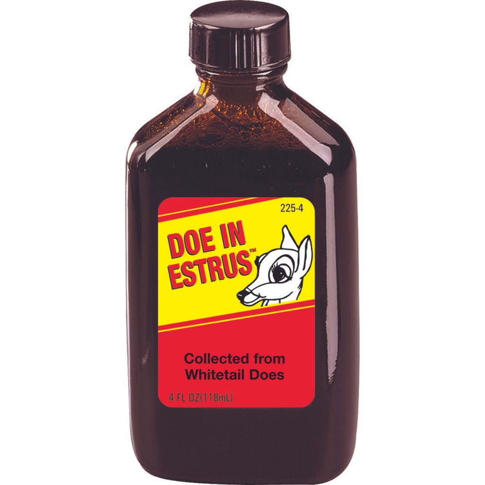 WILD Doe In Estrus