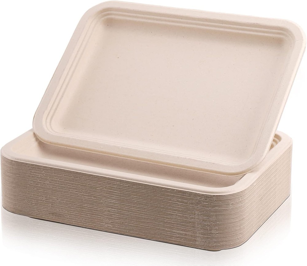 14 Inch Biodegradable Paper Plates, Rec postable Disposable