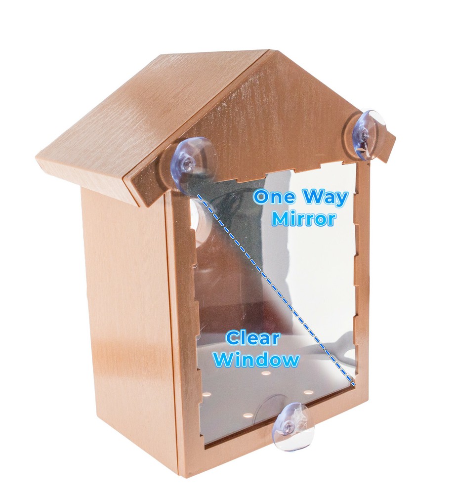 See Through Two way Mirrored Bird House Suction Cup Window Mounted Bird Nesting